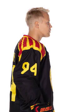 Brynäs Henrik Larsson