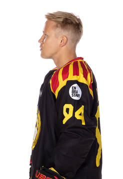 Brynäs Henrik Larsson