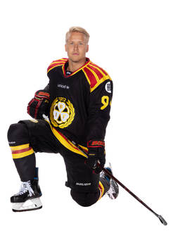 Brynäs Henrik Larsson
