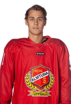 Almtunas Erik Santesson