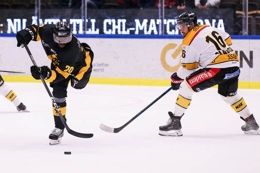 Skellefteås Edwin Hedberg