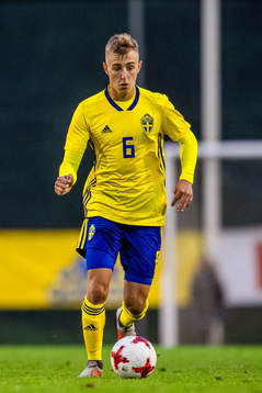 Sveriges Amel Mujanic