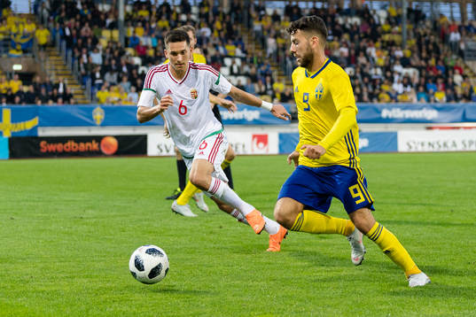 Ungerns Máté Vida och Sveriges Erdal Rakip