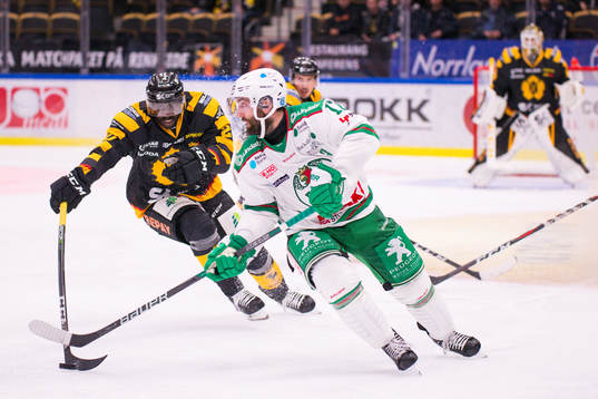 Skellefteås Edwin Hedberg