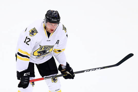 Panterns Robin Dahse