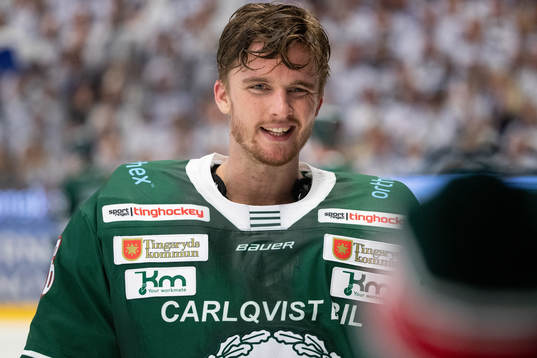 Tingsryds målvakt Tex Williamsson  i ishockeymatchen i