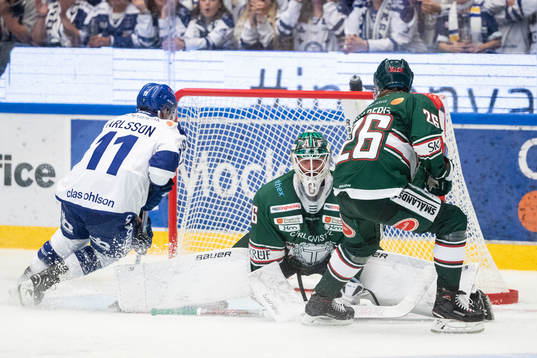 Tingsryds målvakt Tex Williamsson  och Leksands Martin