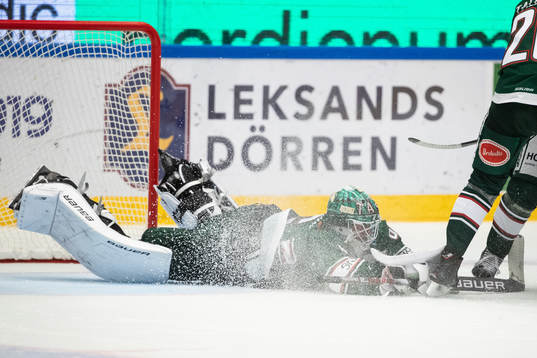 Tingsryds målvakt Tex Williamsson   i ishockeymatchen i