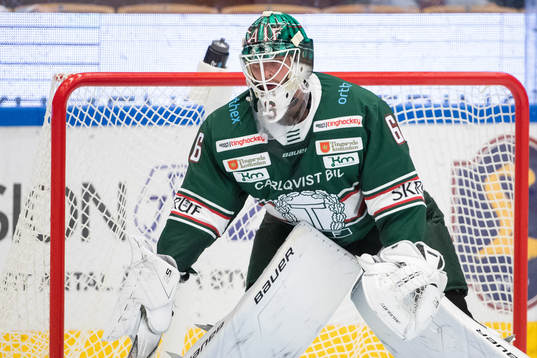 Tingsryds målvakt Tex Williamsson   i ishockeymatchen i