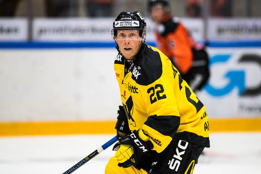 Västerås Johan Skinnars