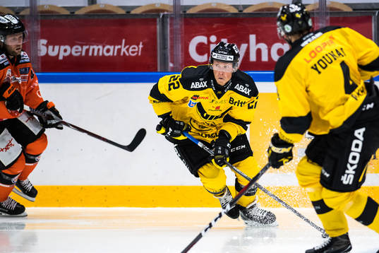 Västerås Johan Skinnars