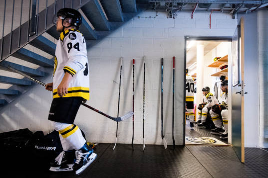 Brynäs Henrik Larsson