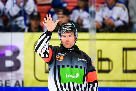 Domare David Bergman