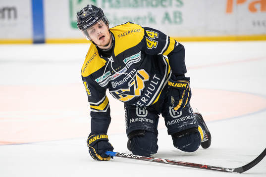 s Mikko Lehtonen