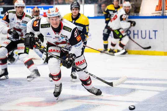 Malmö Redhawks Emil Sylvegård