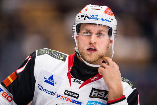 Malmö Redhawks Martin Janohls