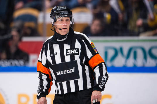 Domare Morgan Johansson