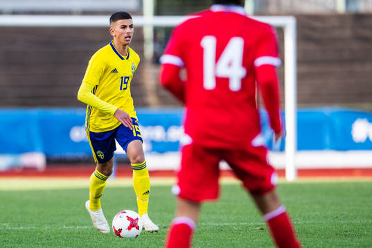 Sveriges Hussein Ali