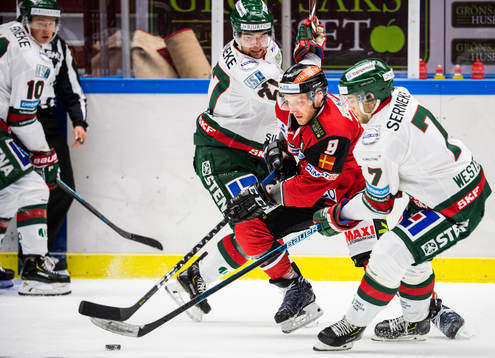 Malmö Redhawks Frederik Storm