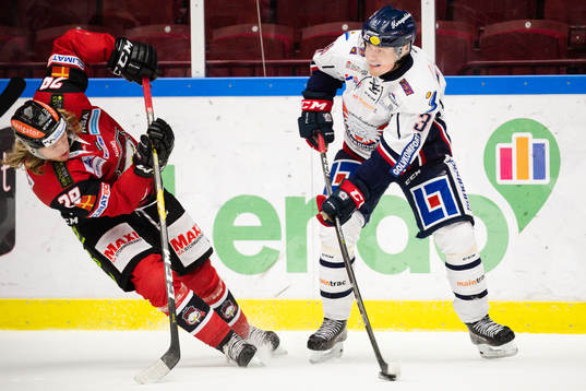 Malmö Redhawks Anton Öhman och Linköpings Almen Bibic