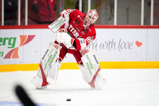 Timrås målvakt Niklas Svedberg