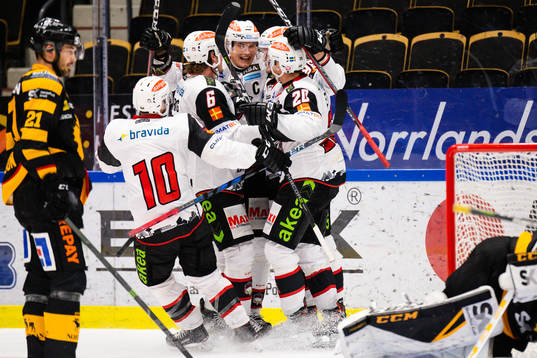 Malmö Redhawks spelare jublar