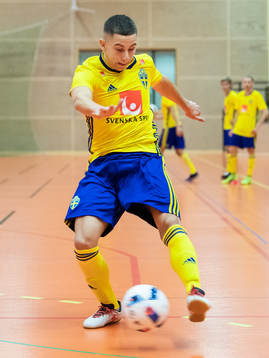 Stefan Veselinovic