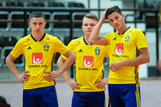 Stefan Veselinovic, Jacob Lackell och Denis Milovanovic