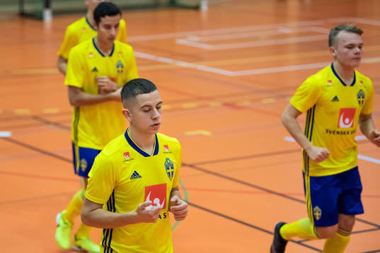 Stefan Veselinovic
