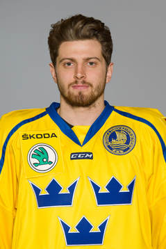 Lukas Bengtsson of Sweden poses for a portrait