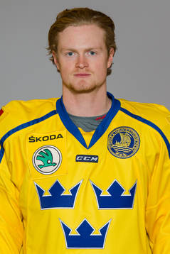Linus Arnesson of Sweden poses for a portrait