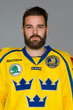 Linus Fröberg of Sweden poses for a portrait