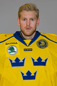 Goalkeeper Magnus Hellberg of Sweden poses for a portrait