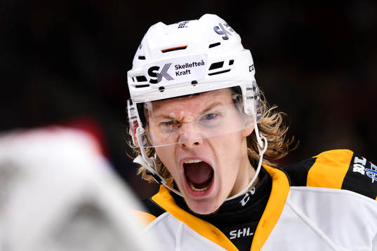 Skellefteås Albin Eriksson jublar