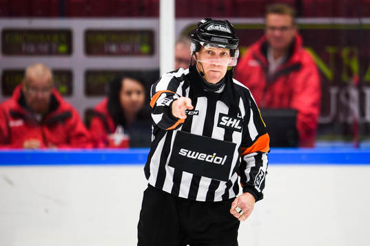 Domare Morgan Johansson