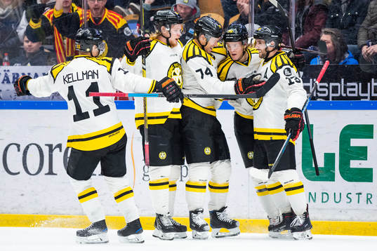 Brynäs Jesper Boqvist (tvåa från höger) jublar med Joel