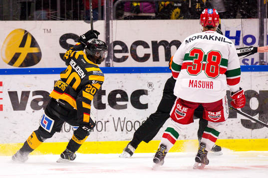 Skellefteås Edwin Hedberg jublar