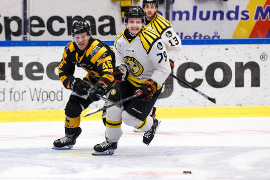 Skellefteås Mathis Olimb och Brynäs Daniel Mannberg