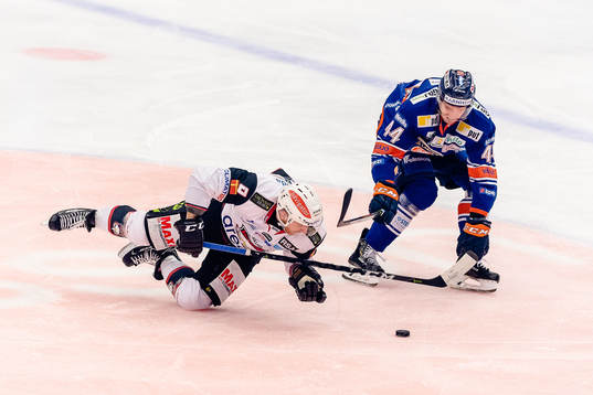 Malmö Redhawks Frederik Storm faller