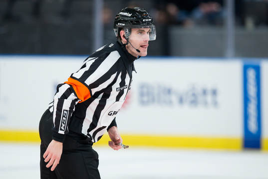 Domare Richard Magnusson