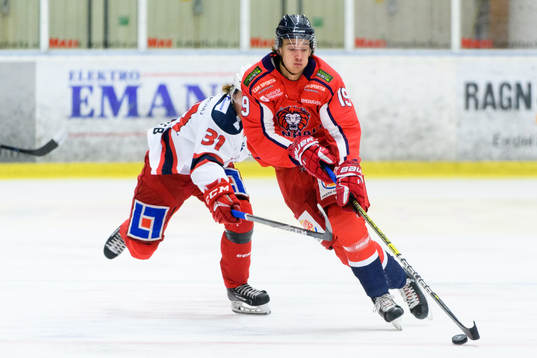 Hanhals Filip Roos