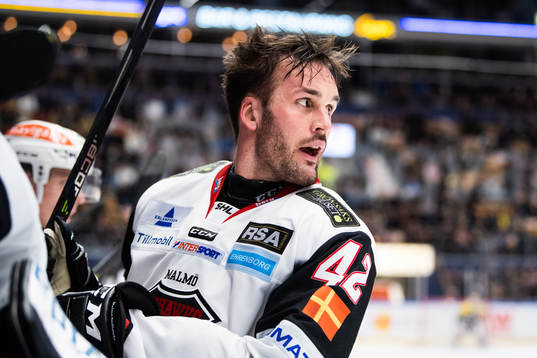 Malmö Redhawks Niklas Arell reagerar på ett domslut