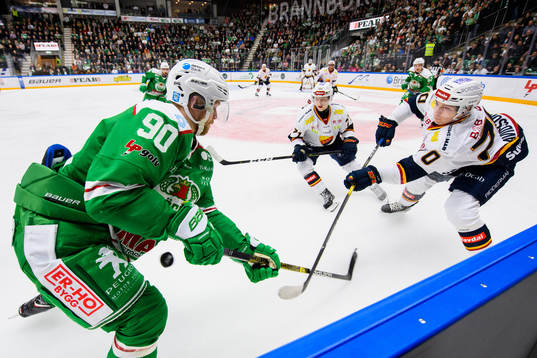 Rögles Ted Brithén