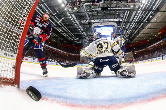 Linköpings Derek Roy