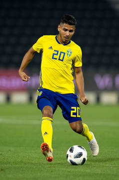 Sweden's Hosam Aiesh