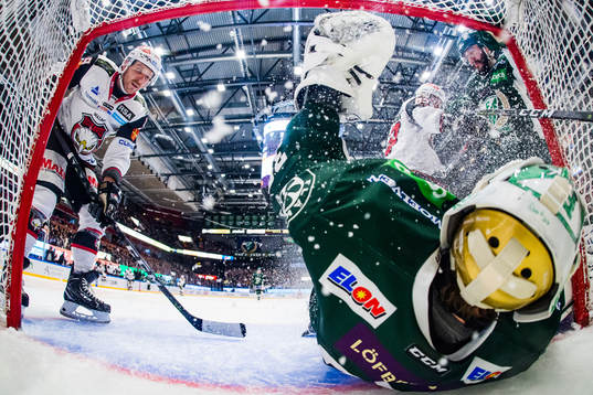 Malmö Redhawks Frederik Storm