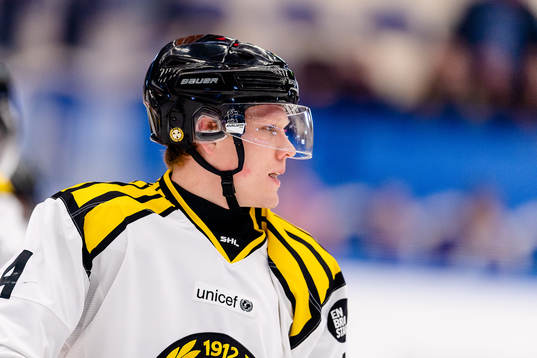 Brynäs Niclas Lundgren