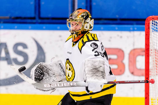 Brynäs målvakt Joacim Eriksson
