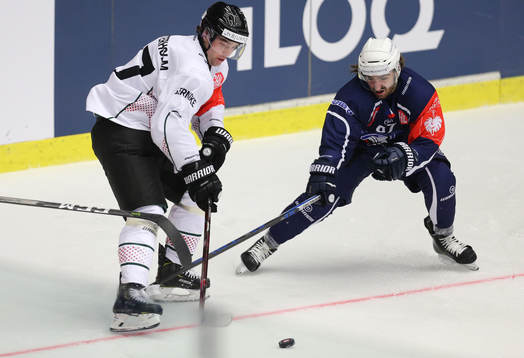 Ishockey, CHL PILSEN,CZECH REPUBLIC,15.JAN.19 - ICE HOCKEY