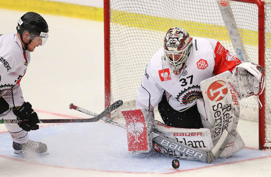 Ishockey, CHL PILSEN,CZECH REPUBLIC,15.JAN.19 - ICE HOCKEY